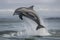 dolphin jumping out of the water in a spectacular show of power and agility