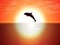 Dolphin jumping over the water of the sunset sun