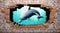 A dolphin jumps out of a hole in a broken brick wall - aI generated