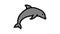 dolphin ocean color icon animation