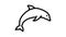 dolphin ocean line icon animation