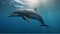 Dolphin in the ocean near the water surface, realistic