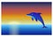 Dolphin over sea at sunset sky background