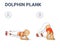 Dolphin Plank Female Home Workout Exercise Guide Colorful Concept.