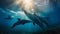 Dolphin Playground: Annie Leibovitz\\\'s Stunning Underwater Photography