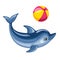 Dolphin playing with beach ball