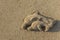 Dolphin sculpture on the sand