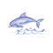 Dolphin in the sea. Hand-drawn illustration. Fish in the ocean, underwater world, travel,