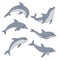 Dolphin set. Jumping playful aquatic animal contour line doodle vector Illustration.