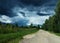 a Dolphin-shaped cloud. very beautiful landscape with the road the vegetation and the contrasting cloudy sky. without photoshop.