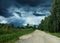 a Dolphin-shaped cloud. very beautiful landscape with the road the vegetation and the contrasting cloudy sky. without photoshop.