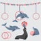 Dolphin show, dolphinarium, sea lion, seal, aqua circus, ocian animal