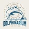 Dolphin show logotype vintage colorful