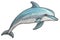 Dolphin Sticker On Isolated Tansparent Background, Png, Logo. Generative AI