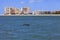 Dolphin Swimming Close to the Shores of Popular Vacation Destination of Marco Island
