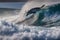 dolphin swimming in open ocean waves