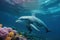 Dolphin swimming in the undersea, Beautiful Underwater and colorful coral in the wild nature of the Pacific Ocean