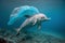 A dolphin trapped in a plastic bag in the ocean. Environmental Protection. A dolphin stuck in a plastic bag. The concept of ocean