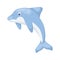 Dolphin vector illustration sea water mammal ocean blue nature animal.