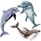 Dolphin wild mammals in a watercolor style isolated.