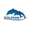 Dolphinarium. Dolphin logo. Banner. Vector flat illustration.