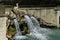 Dolphins Fountain, Caserta Garden