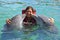 Dolphins kissing young girl, Cuba