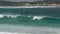 Dolphins riding and jumping a wave along the coast at the Great Ocean Drive, Esperance, Western Australia