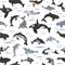 Dolphins seamless pattern. Marine mammals collection. Cartoon flat style design