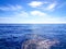 Dolphins swimming in the Atlantic Ocean in front of Los Gigantes, Canary Islands, Tenerife