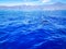 Dolphins swimming in the Atlantic Ocean in front of Los Gigantes, Canary Islands, Tenerife