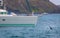 Dolphins swimming near boat - Fernando de Noronha, Pernambuco, Brazil