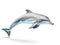 Dolphins are symbols of movement. vitality There is a surplus, no lack of luck, love, abundance. Generative AI