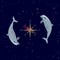 Dolphins, windrose, Ursa Major and Southern Cross