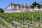 Domaine Carneros