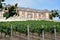 Domaine Carneros vineyard, Napa Valley