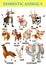 domastic animal chart