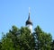 Dome of the bell tower of the Christian church rises above the trees