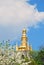 Dome, blue sky and flowering tree