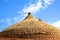 Dome covered with clay tiles in the ancient Tatar-Mongols capital of Sarai Batu