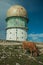 Dome of an old radar station and a cow