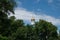 The dome of the Orthodox church over the trees. Golden dome against the blue sky