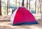 Dome tent in camping site with pine trees and lake