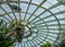 The domed ceiling of the Winter Garden, part of the Royal Greenhouses at Laeken, Brussels, Belgium.