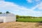 Domed Greenhouse or tunnel for young plants growing nursery house