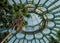 Domed roof of the Winter Garden, part of the Royal Greenhouses at Laeken, photographed from the inside.