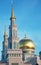 Domes of the Cathedral Mosque in Moscow