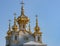 Domes of the Church of Grand palalce in Peterhof. Russia