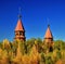 Domes of the Orthodox Church over the autumn taiga