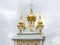 The domes of the Peter and Paul Church, Peterhof Palace. Peterhof.